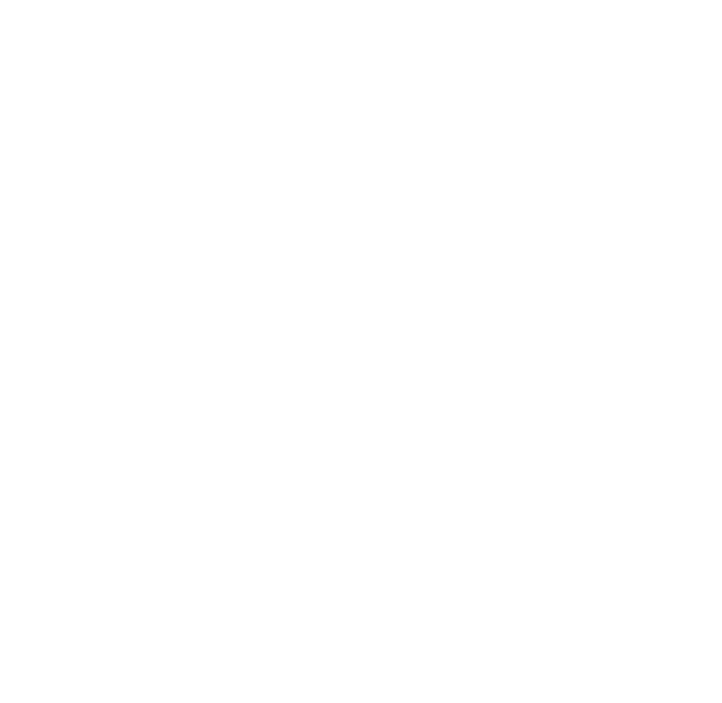 The Kayak Trip logo